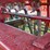 case-ih-5400-image-10