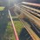 new-holland-489-image-4