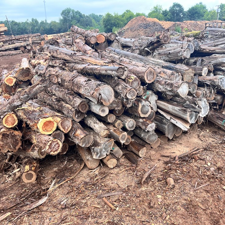 #1039 • 7’ round cedar posts 4-6” tops (100 pcs.)