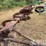 john-deere-610-image-9