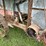 baker-threshing-machine-image-17