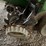 1997-john-deere-1770-image-12