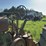 john-deere-model-a-image-30