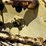 john-deere-670-image-10