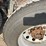 2017-western-star-w4700sb-day-cab-truck-(gp11329,-unit-82)-image-40