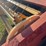 new-holland-489-image-5