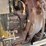 ingersoll-rand-dd24-image-32