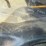 2000-chevy-3500-pickup-image-8