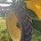 top-air-1200-sprayer,-90ft-boom,-monitor-control-box,-manual,-hydraulic-drive,-1200-gallon-tank,-used-this-spring,-20"-spacing,-320/90r46-tires-image-8