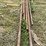 #251-•-carriage-tracks-image-4