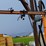 #220-•-accu-cut-4x36-edger-image-21