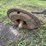 case-10-disc-plow-image-7