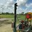 #250-•-cleerman-36-carriage-image-14