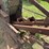 stover-rock-crusher-image-5