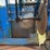 #232-•-hershberger-slab-saw-image-13