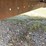 2000-king-trail-image-30