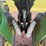 2014-john-deere-1770nt-image-33