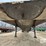 1999-jet-hopper-image-16