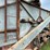 baker-threshing-machine-image-6