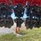 2007-case-ih-1200-image-14