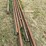 #251-•-carriage-tracks-image-5