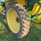 top-air-1200-sprayer,-90ft-boom,-monitor-control-box,-manual,-hydraulic-drive,-1200-gallon-tank,-used-this-spring,-20"-spacing,-320/90r46-tires-image-17