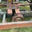 #250-•-cleerman-36-carriage-image-42