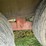 #460-•-2000-better-built-trailer-image-46