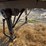 2002-mac-39ft-frameless-dump-trailer,-roll-tarp,-air-ride,-air-tailgate,-man-door,-coal-chute,-aluminum-rims,-11r22.5,-vin#5madn39242c005592-image-14