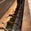 #5474-•-gehl-sa-720-tiller-image-10