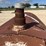 l3---tank-on-skids-image-3