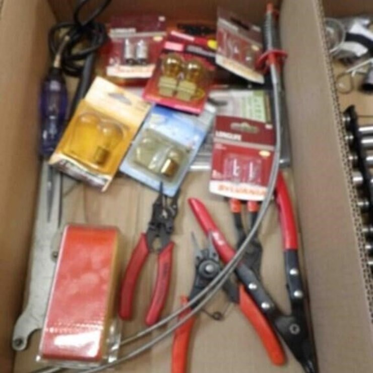 Bulbs, SnapRing Pliers