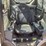 2021-caterpillar-272d3-image-11