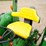 john-deere-2150-image-24