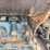 bobcat-t770-image-22