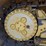 2019-caterpillar-d7e-lgp-image-22