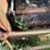 1998-ford-l8513-image-11