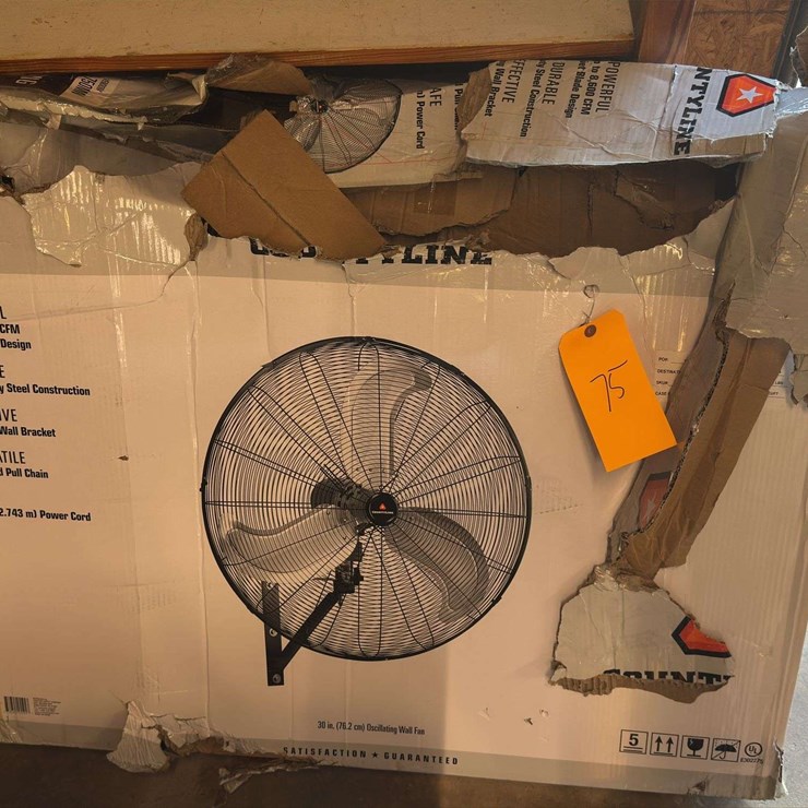CountyLine 30 in. Oscillating Wall Fan