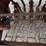 international-13-image-13
