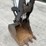 2018-bobcat-e42-image-10