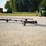 case-ih-20-image-3