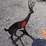 unused-free-standing-deer-target-image-3