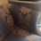 blue-couch-image-7