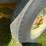 4-1/2-x-10-tandem-trailer,-with-ramp-&-lights-image-5