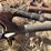 horsch-anderson-40-15-image-26