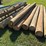 (12)-treated-posts-(16'-long)-image-1