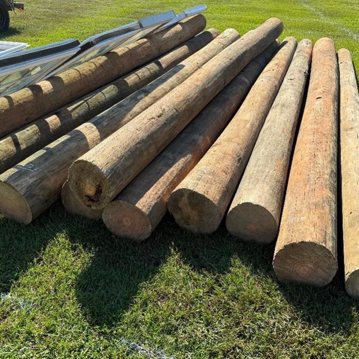 (12) TREATED POSTS (16' LONG)