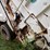 1998-ford-l8513-image-17