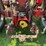 case-ih-450-image-8