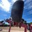 #9030-•-dave-koenig-3-pt-folding-gallina-tillage-tool-bar-image-9